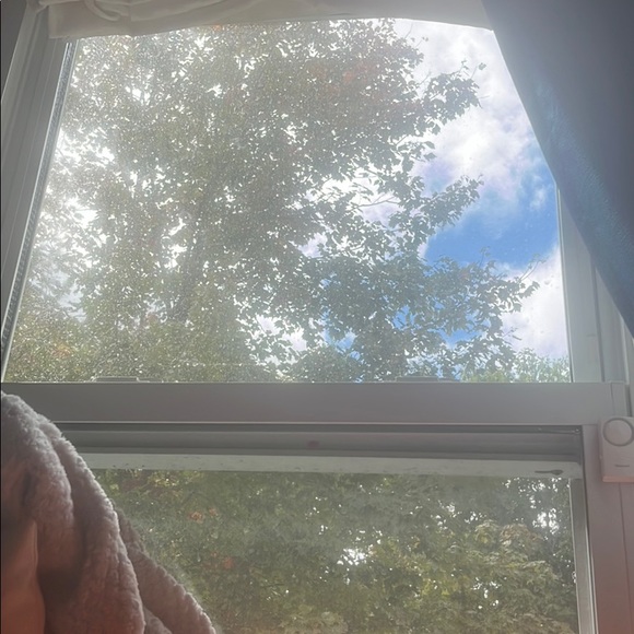 Meet your Posher, Isla - Picture 1 of 1